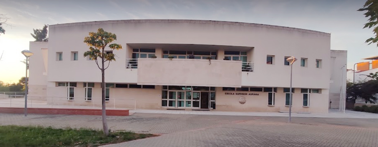 Polytechnic Institute of Beja