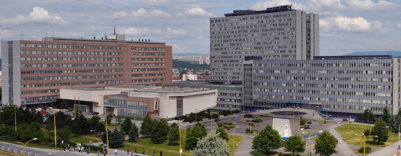 Pavel Jozef Šafarik University