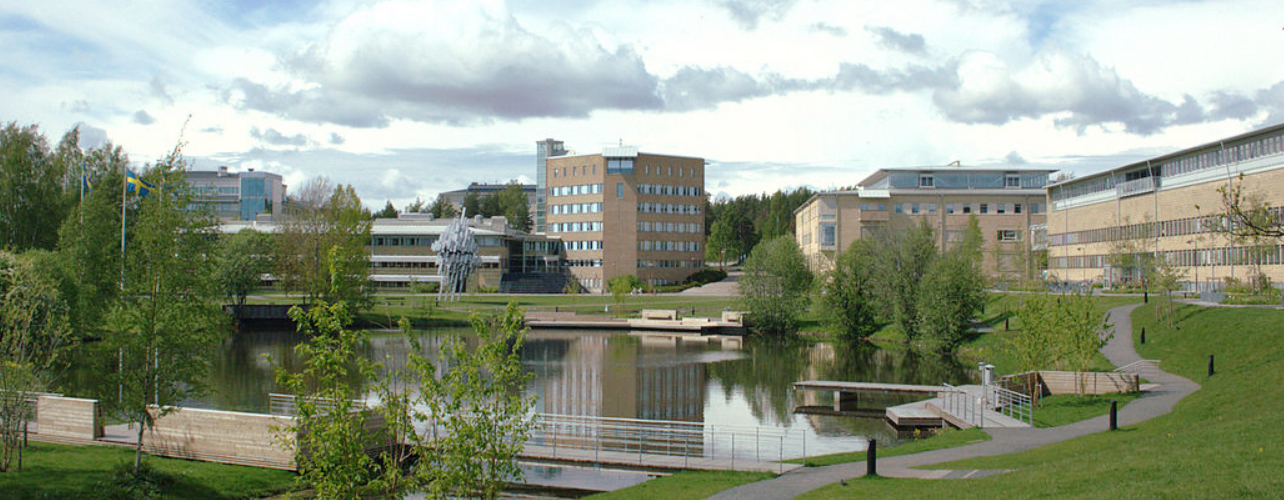 Umea University