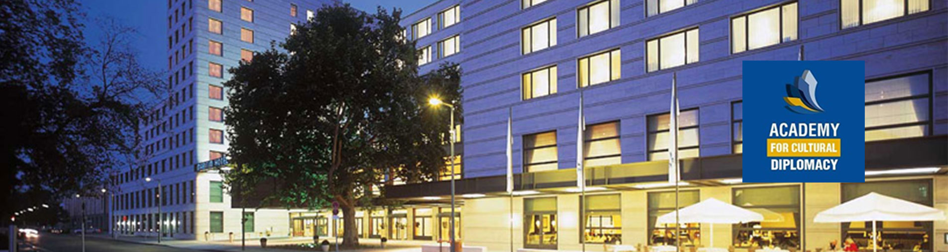 Institute for Cultural Diplomacy Inc.