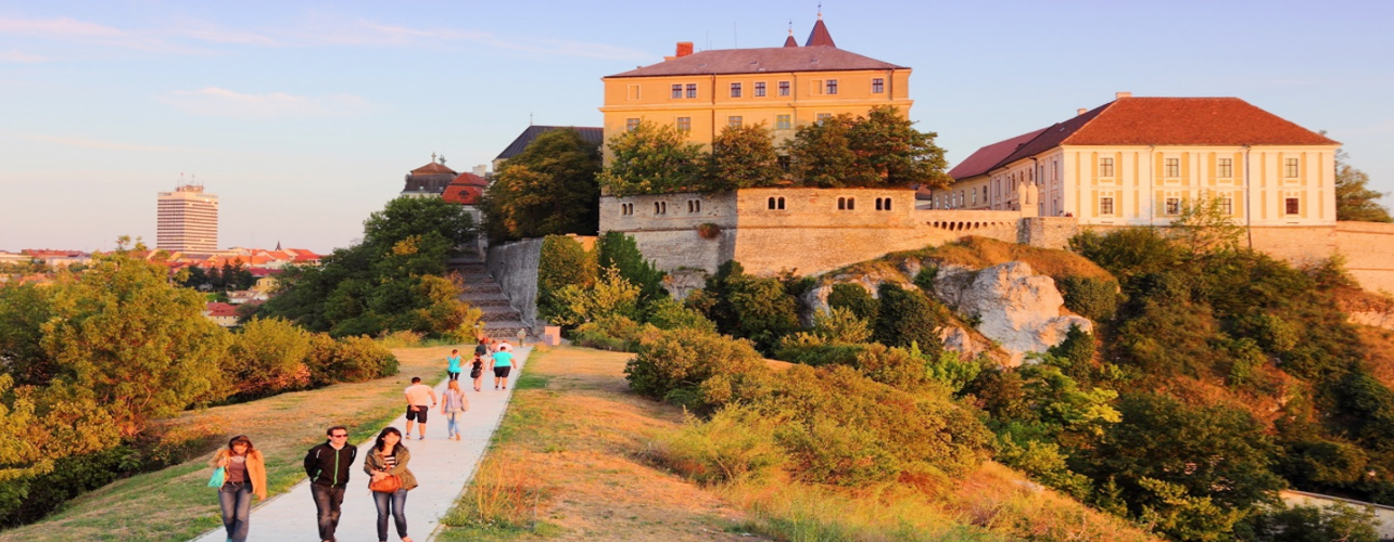 University of Pannonia