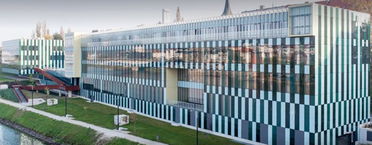 University of Maribor - Faculty of  Medicine